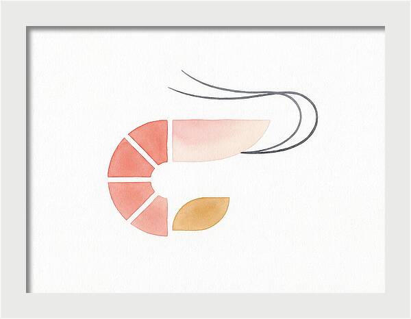 Minimal Shrimp Illustration
