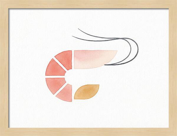 Minimal Shrimp Illustration