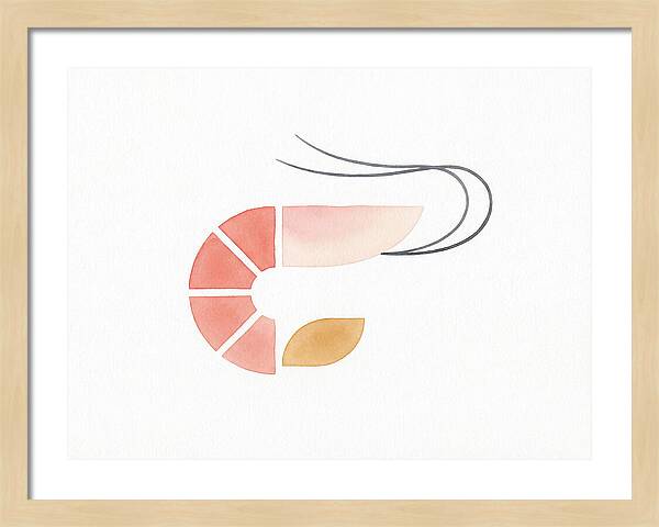 Minimal Shrimp Illustration