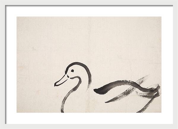 Minimalist Duck Illustration