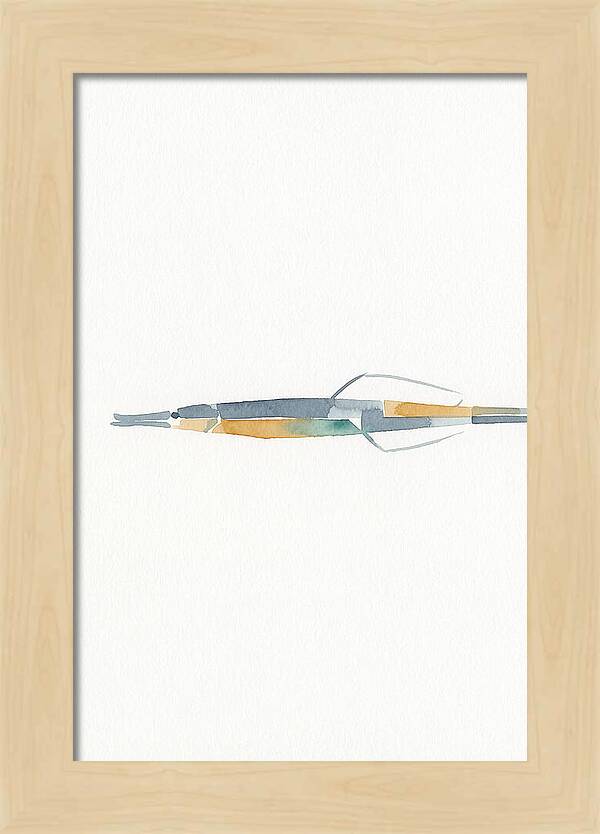 Minimalist Pipefish Illustration