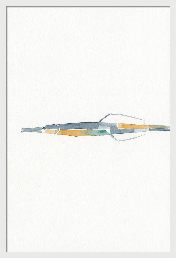 Minimalist Pipefish Illustration