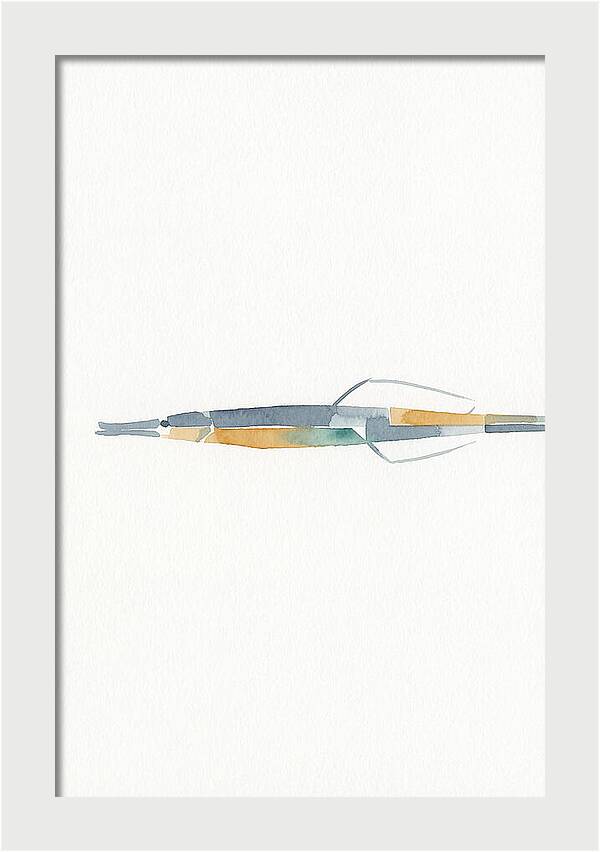 Minimalist Pipefish Illustration
