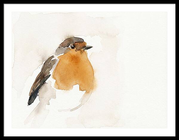 Minimalist Robin Portrait