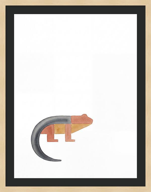 Minimalist Salamander