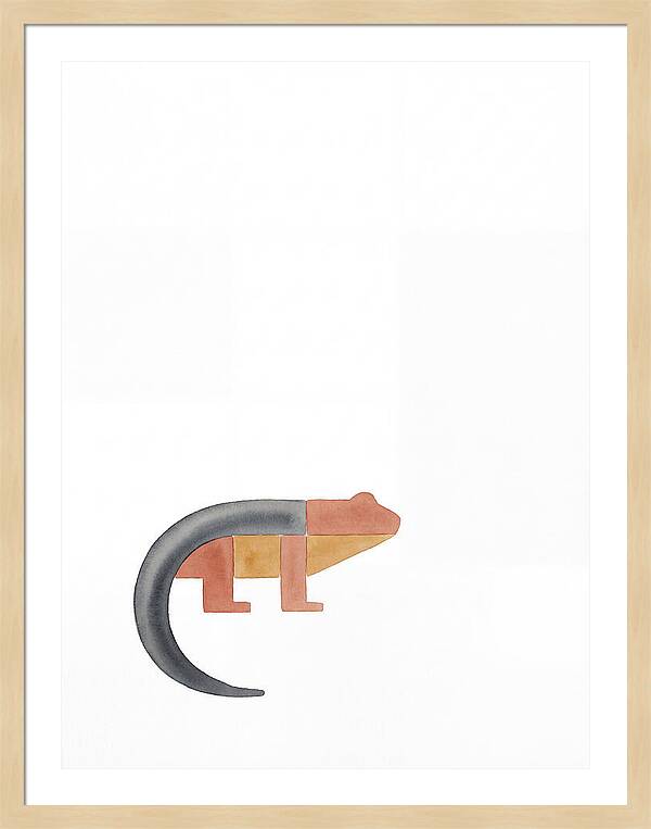 Minimalist Salamander