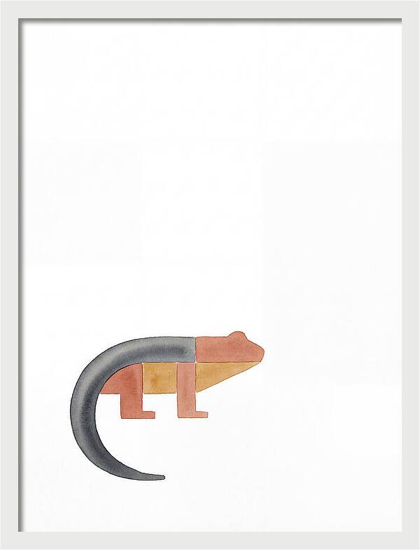 Minimalist Salamander