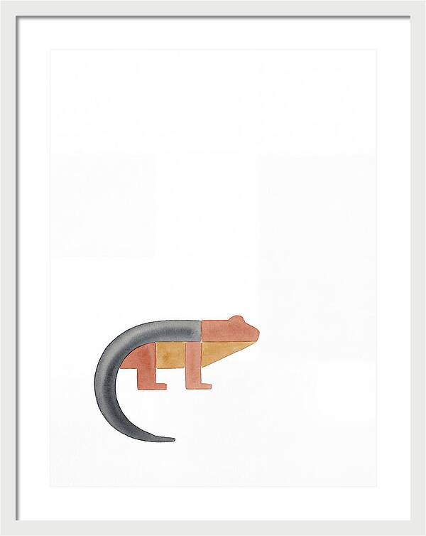 Minimalist Salamander