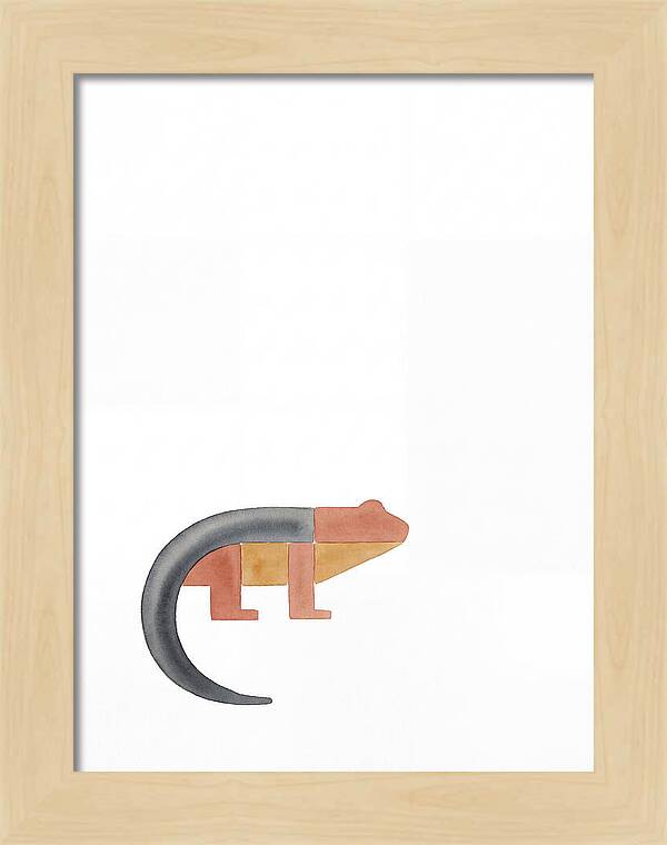 Minimalist Salamander