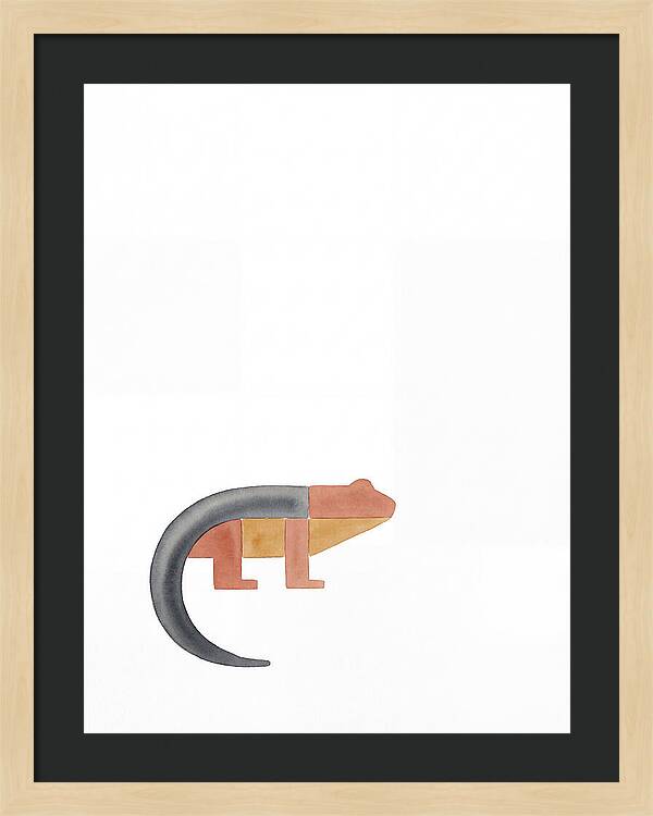 Minimalist Salamander