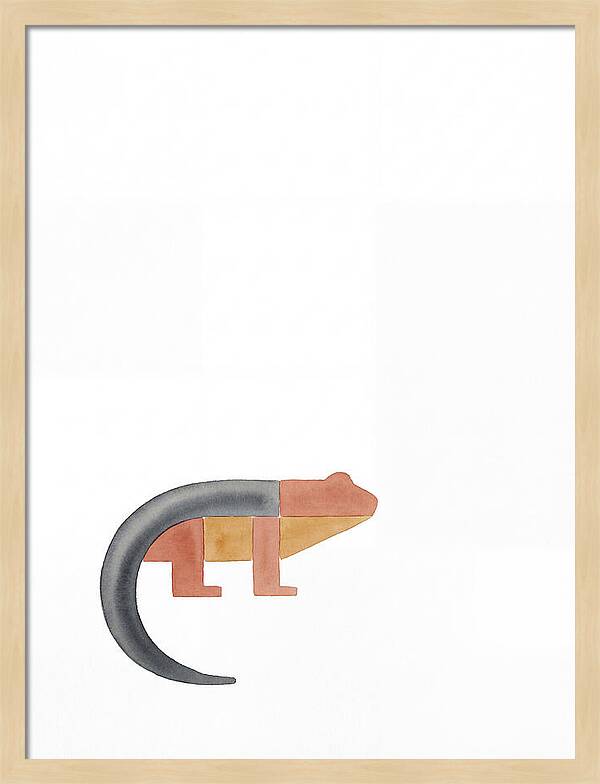 Minimalist Salamander