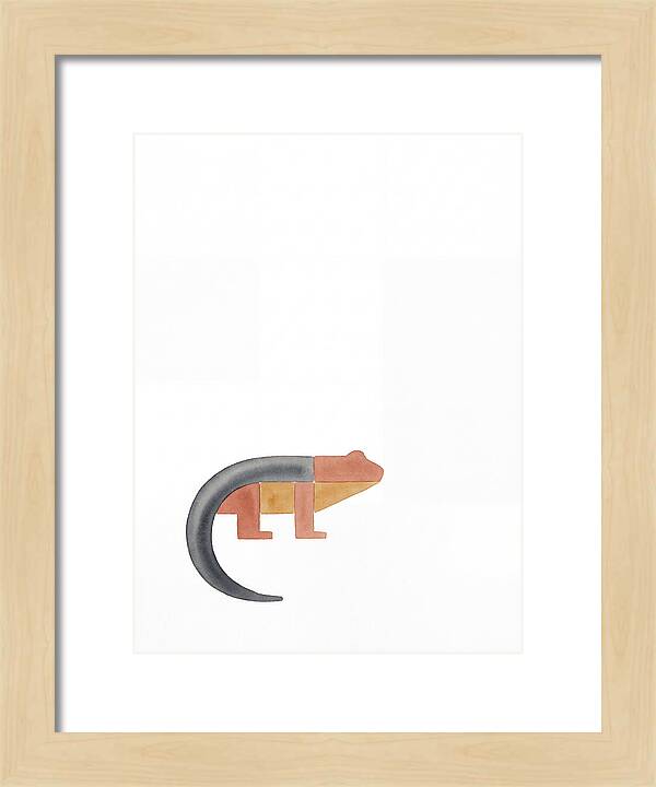 Minimalist Salamander