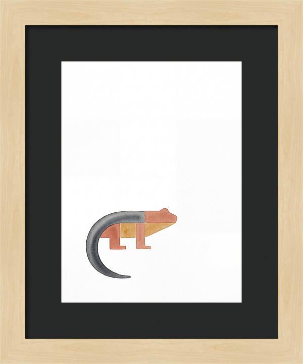 Minimalist Salamander