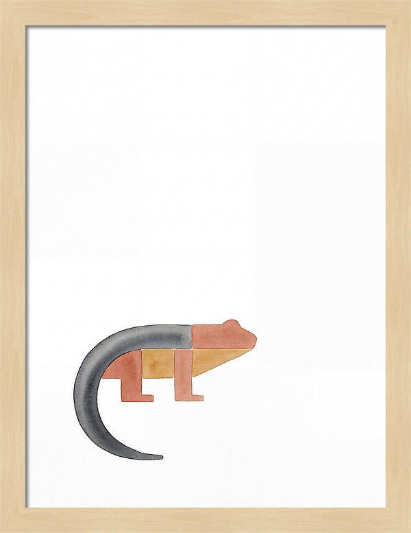 Minimalist Salamander