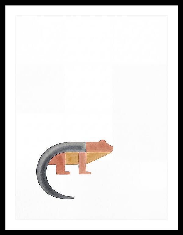 Minimalist Salamander