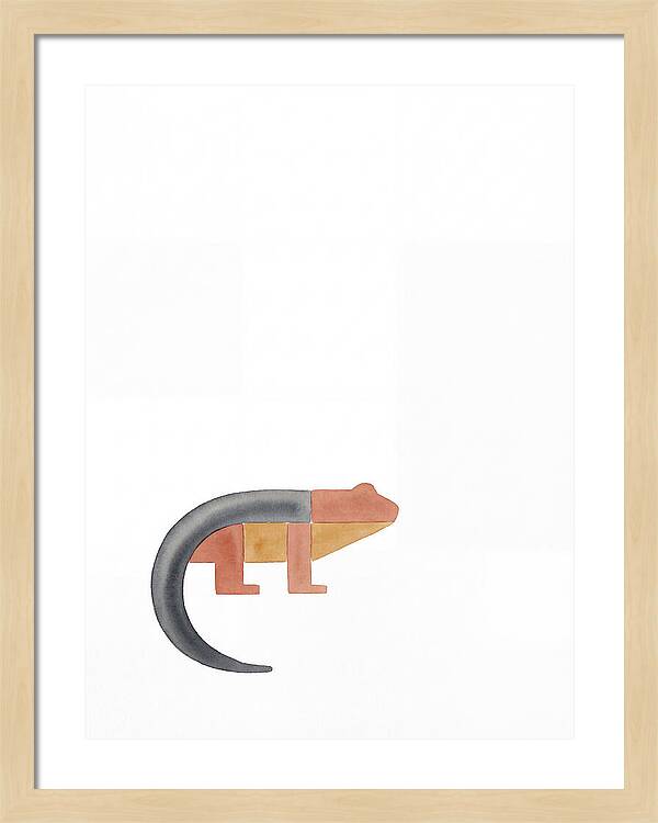 Minimalist Salamander