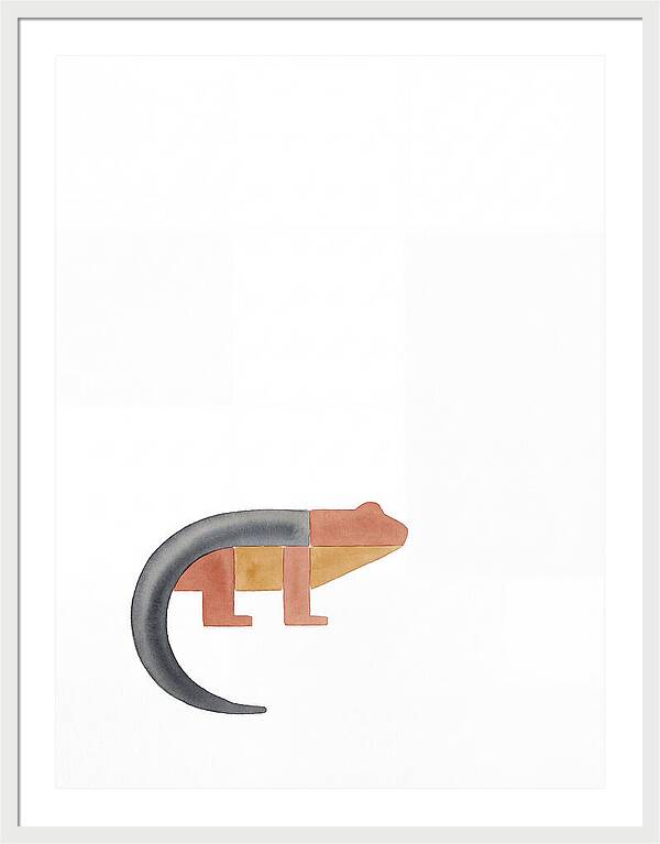 Minimalist Salamander