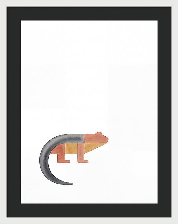 Minimalist Salamander