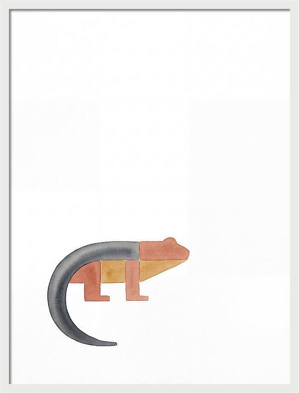 Minimalist Salamander