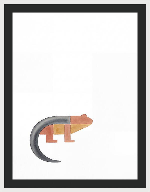 Minimalist Salamander