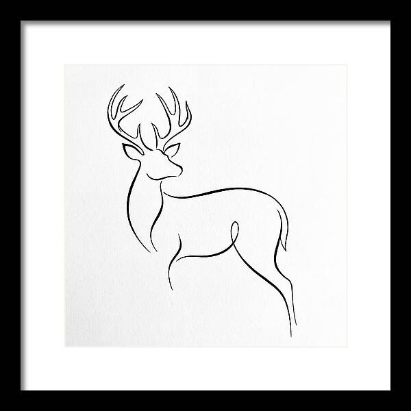 Minimalist Whitetailed Deer