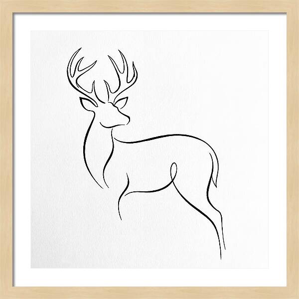 Minimalist Whitetailed Deer