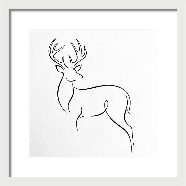 Minimalist Whitetailed Deer