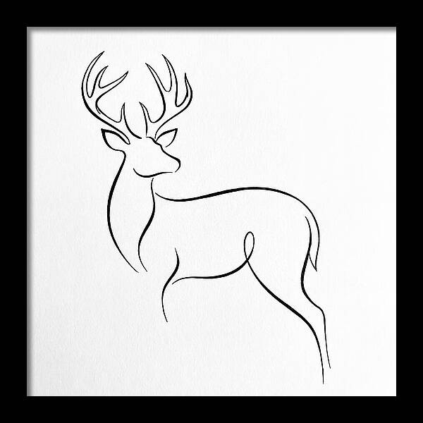 Minimalist Whitetailed Deer