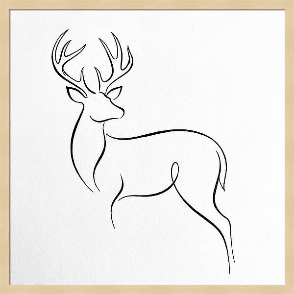 Minimalist Whitetailed Deer