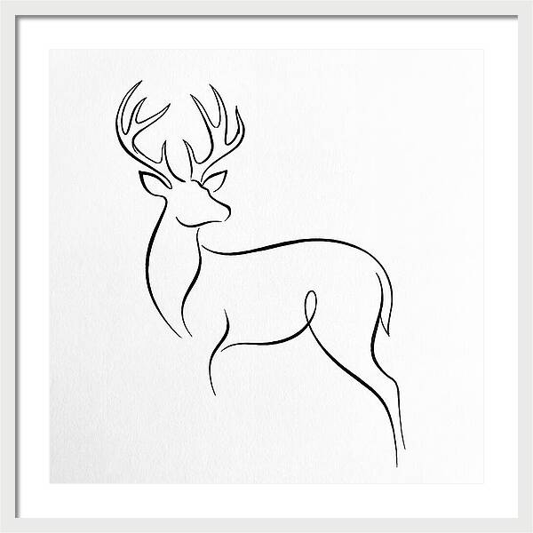 Minimalist Whitetailed Deer