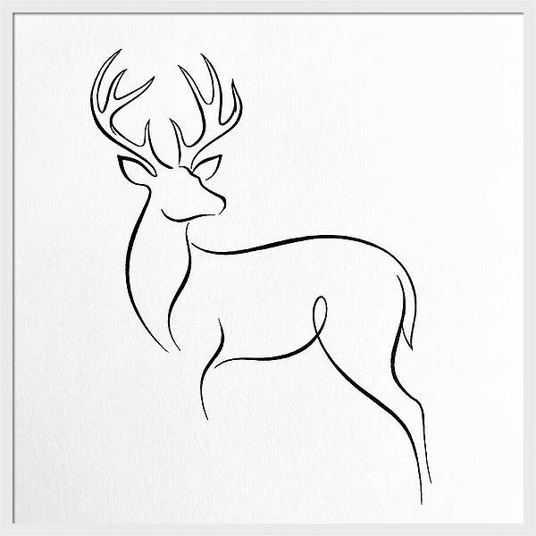 Minimalist Whitetailed Deer