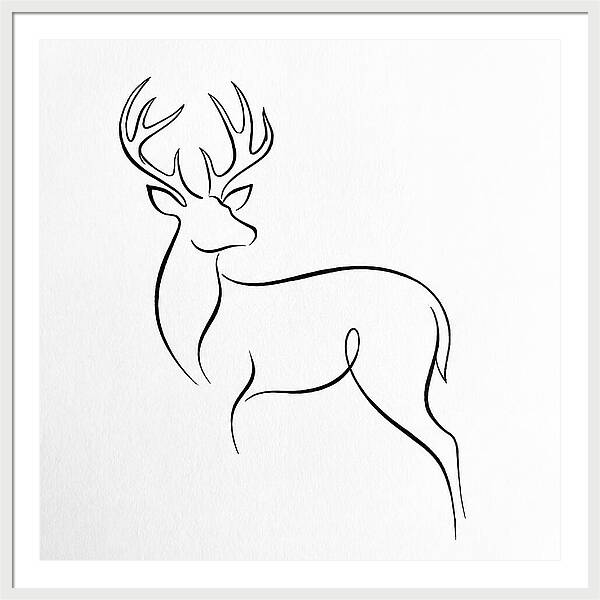 Minimalist Whitetailed Deer