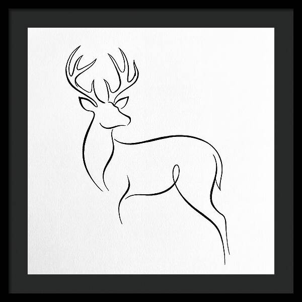 Minimalist Whitetailed Deer