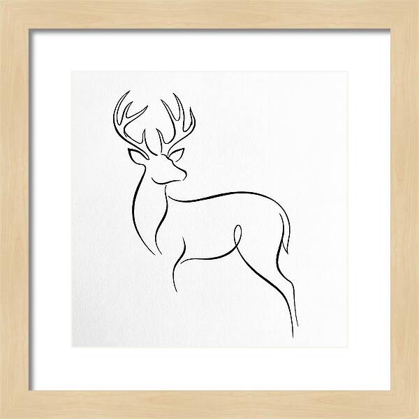 Minimalist Whitetailed Deer