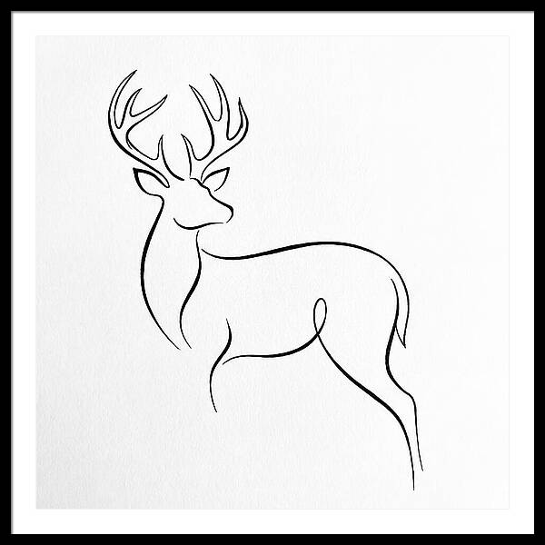 Minimalist Whitetailed Deer
