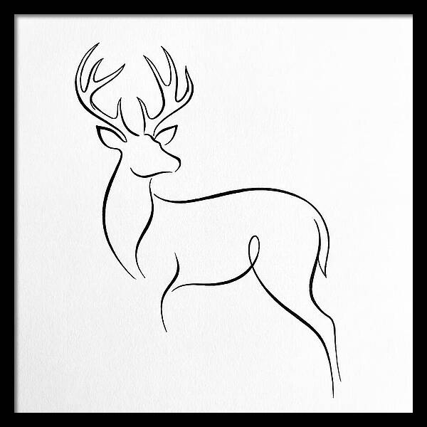 Minimalist Whitetailed Deer