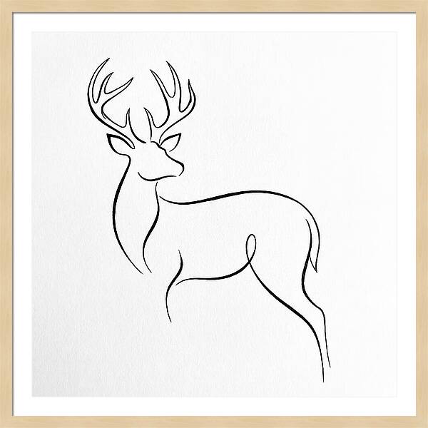 Minimalist Whitetailed Deer