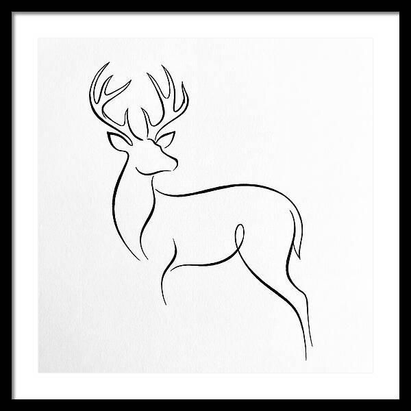 Minimalist Whitetailed Deer