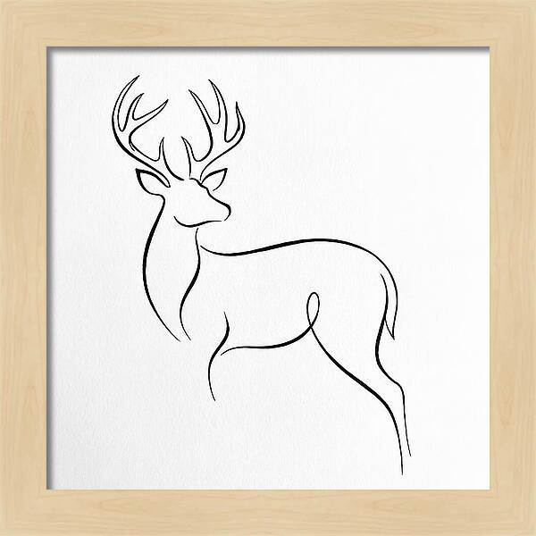 Minimalist Whitetailed Deer