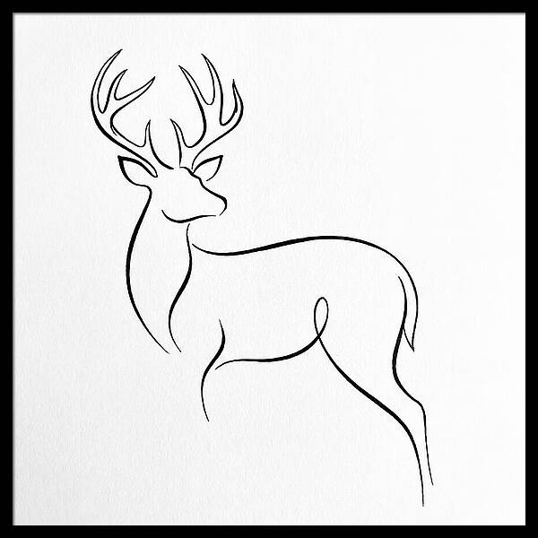 Minimalist Whitetailed Deer