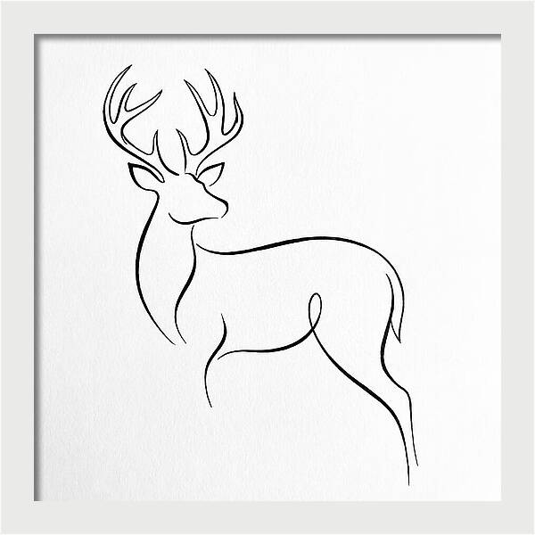 Minimalist Whitetailed Deer
