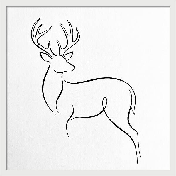Minimalist Whitetailed Deer