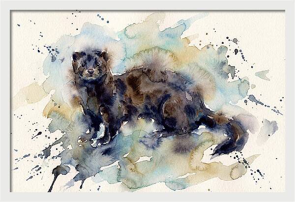 Mink In Watercolor Splendor