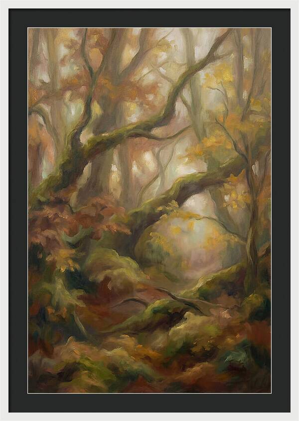 Misty Autumn Morning
