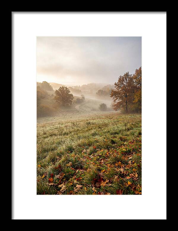 Misty Autumn Morning Serenity