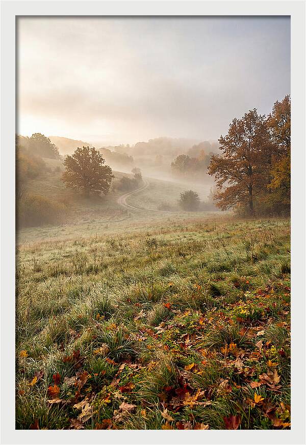 Misty Autumn Morning Serenity