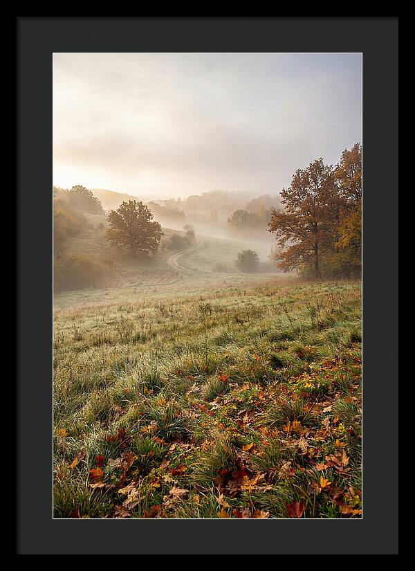 Misty Autumn Morning Serenity