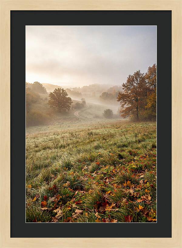 Misty Autumn Morning Serenity