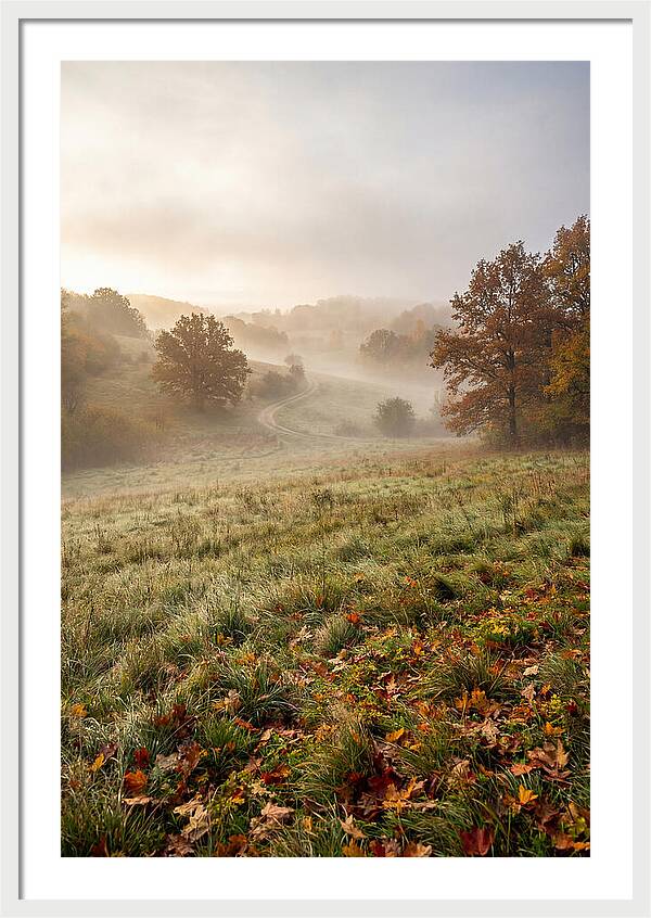 Misty Autumn Morning Serenity