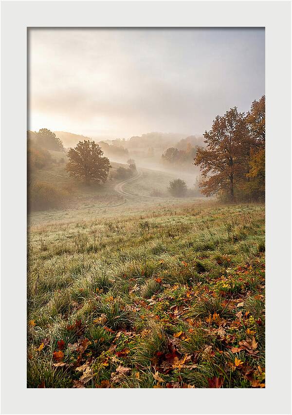 Misty Autumn Morning Serenity